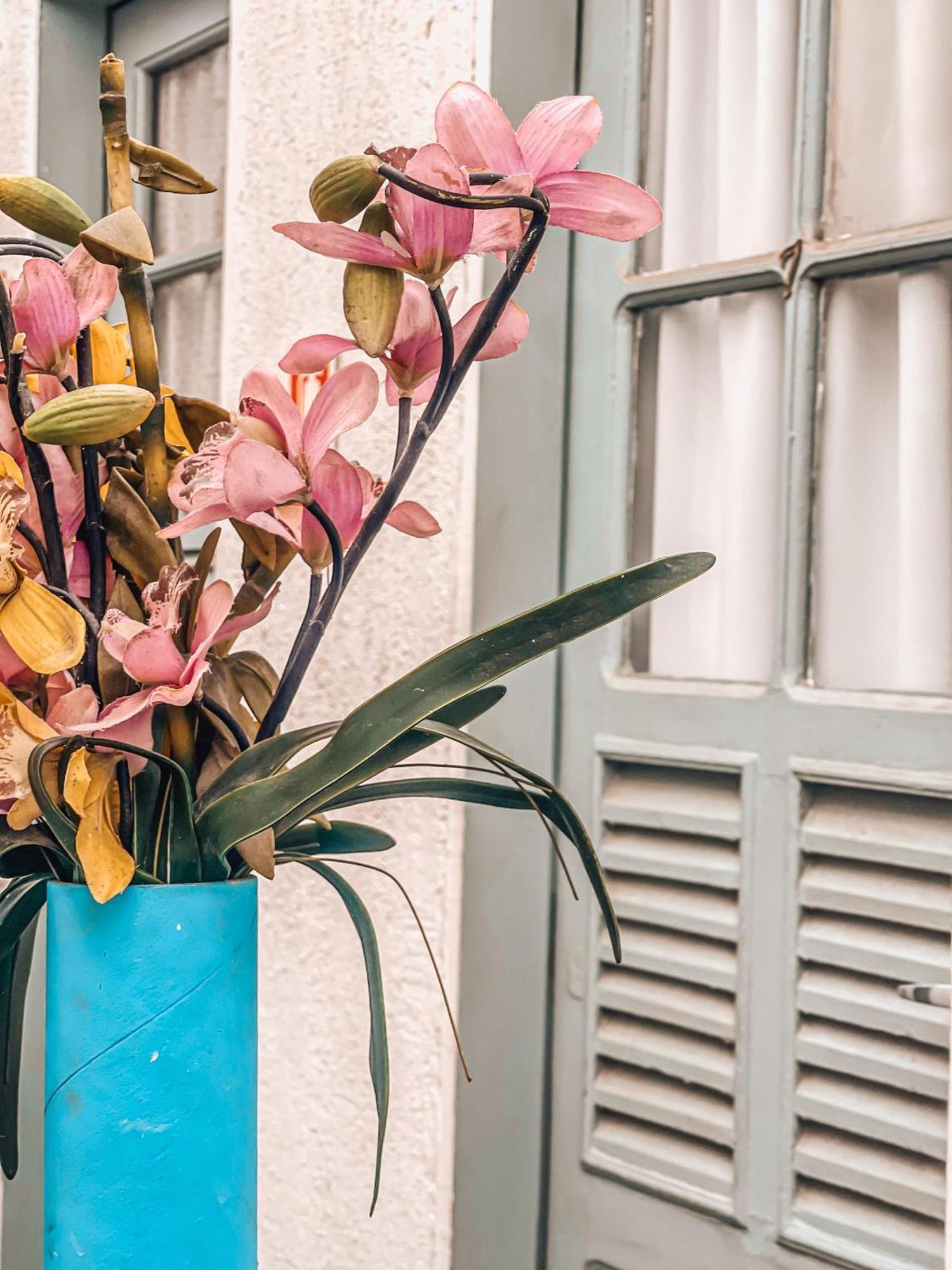 Casa Tuxi Hotel Rio de Janeiro Eksteriør billede